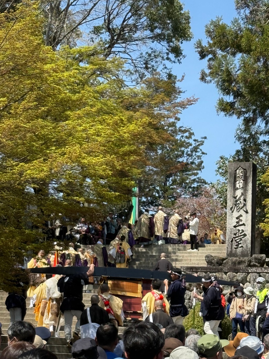 願わくは花の下で