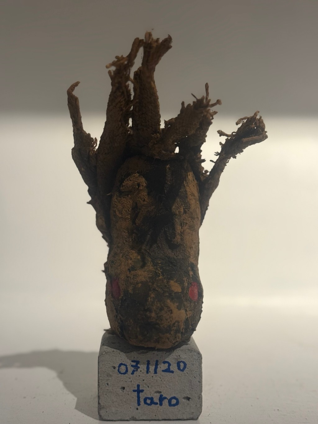 071120　馬頭琴うさぎ