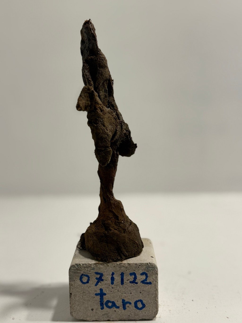 071122 馬印を抱く女