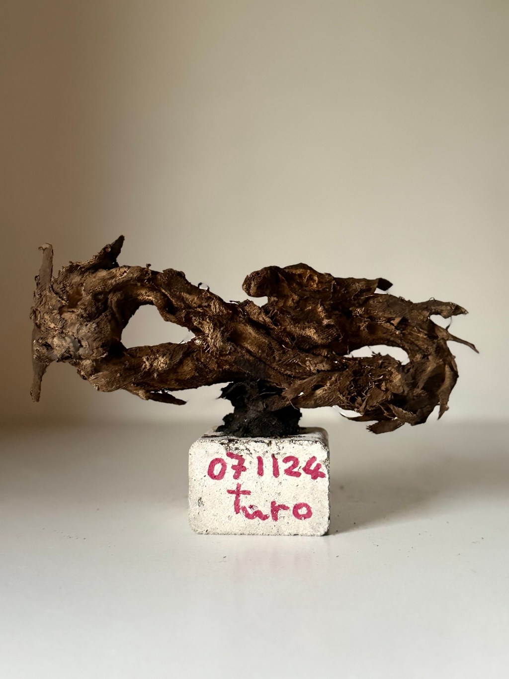 071124 インフィニティドラゴン