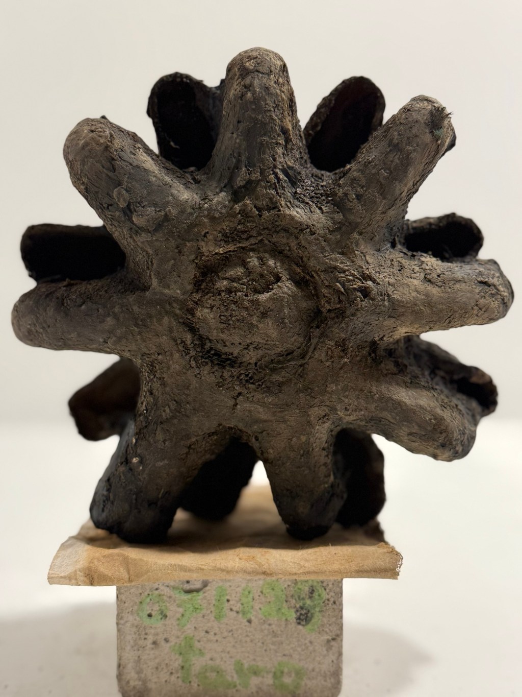 071129 八芒星の涙