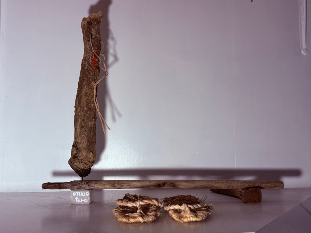 071210 自然に敬意を　シリーズ